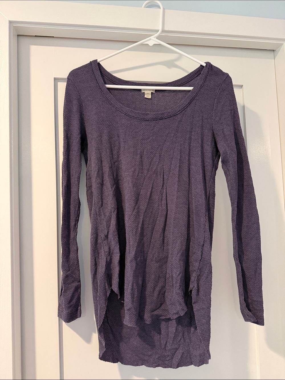 hinge Long Sleeve Scoop Neck Top in Plum